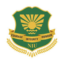 NOIDA INTNL UNIVERSITY